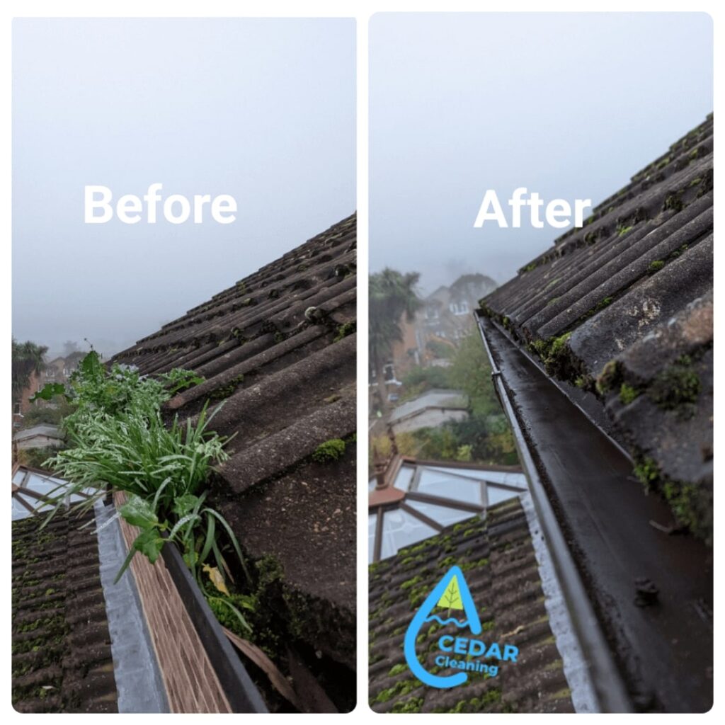 Gutter cleaner camberley